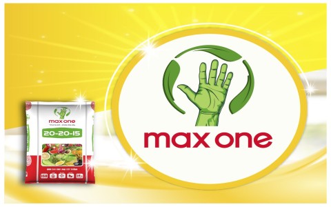 Phân bón Max One - Nhận diện mới, tầm cao mới