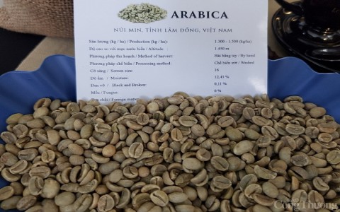 Vì sao cà phê xuất khẩu chưa “hưởng lợi” nhiều từ EVFTA?