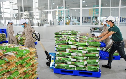 10 tháng, Việt Nam đã xuất khẩu gần 5,4 triệu tấn gạo
