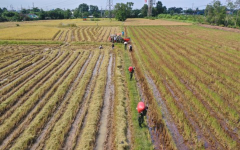 Lãnh đạo TP HCM: 'Các huyện đang quy hoạch, nông dân đừng bán rẻ đất'