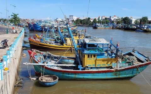 Tàu cá nằm bờ do các cửa hàng 'hết dầu'