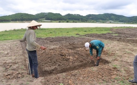 Lâm Đồng: Công ty Thành Luân đề xuất Dự án khai thác cát xây dựng... trên đất rừng