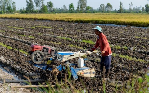 Cần sớm sửa đổi Luật thuế 71, giảm bớt thiệt hại cho nông dân